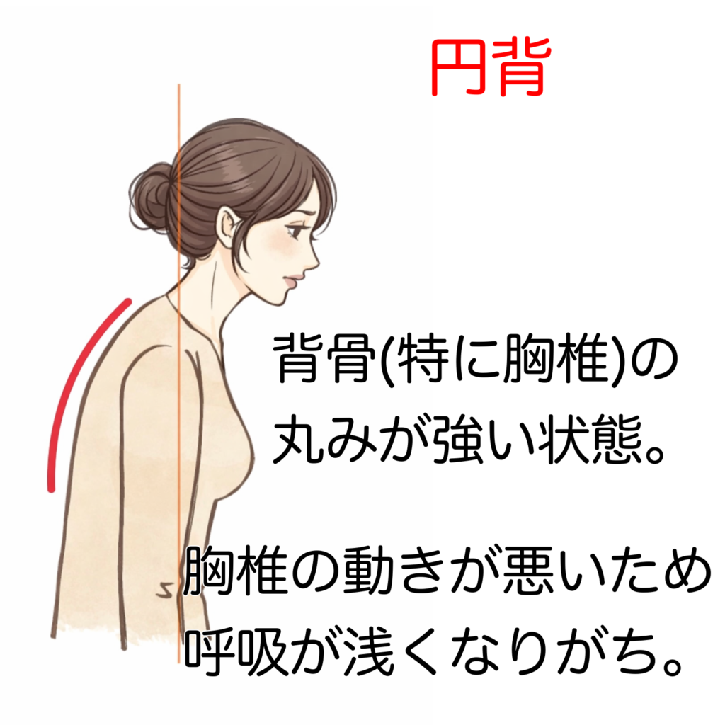福山市,姿勢矯正,猫背,肩こり,頭痛,腰痛